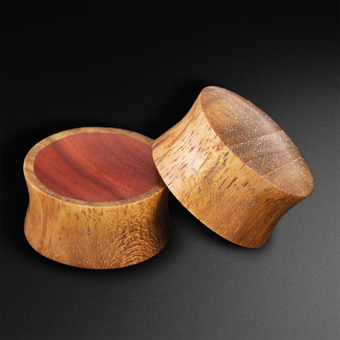 Olive Wood Double Flare Concave Plug With Saba Wood Inlay